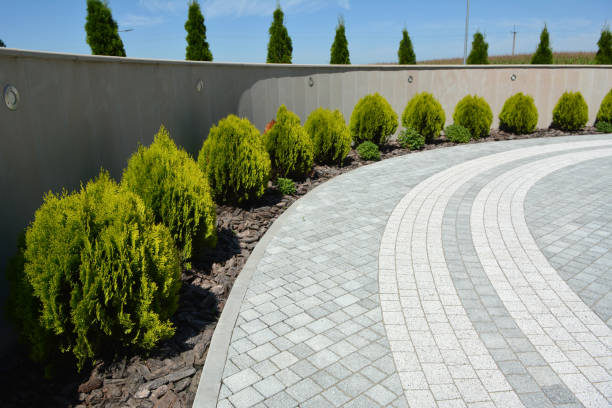 Best Driveway Pavers Near Me  in Gosnell, AR